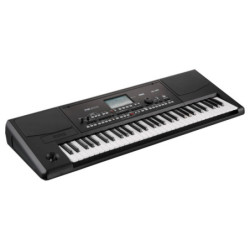 Korg Pa300