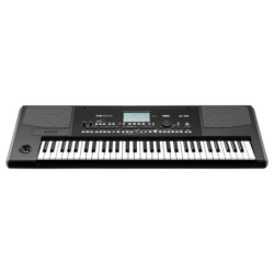 Korg Pa300