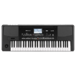 Korg Pa300