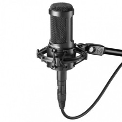 Audio-Technica AT2035