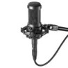 Audio-Technica AT2050