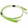 Neo d+ RCA Class B 2m (2 RCA/M-2 RCA/M)