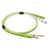 Neo d+ RTS Class B 2m (2 Jack/M Mono-2 RCA/M)
