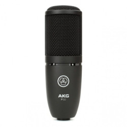 AKG P120