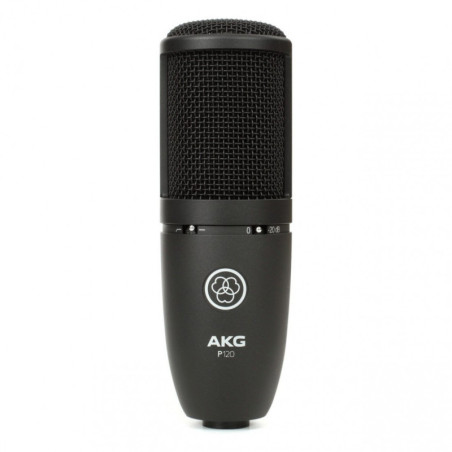 AKG P120