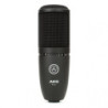 AKG P120