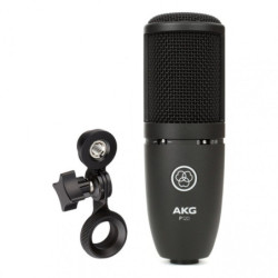 AKG P120