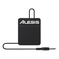 Alesis ASP-1