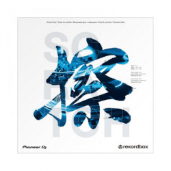 Pioneer DJ Rekordbox Control Vinyl RB-VD2-CB