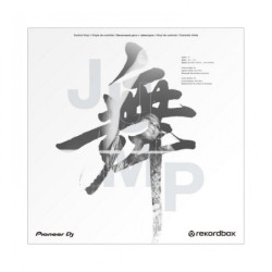 Pioneer DJ Rekordbox Control Vinyl RB-VD2-W