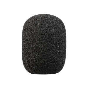 EVE Audio SC3010
