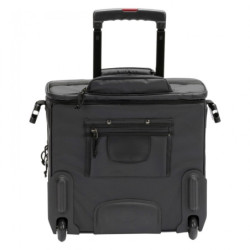 Magma Riot DJ Trolley