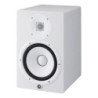Yamaha HS8W
