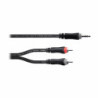 Cordial EY 5 WCC (Minijack/M Stereo-2 RCA/M)