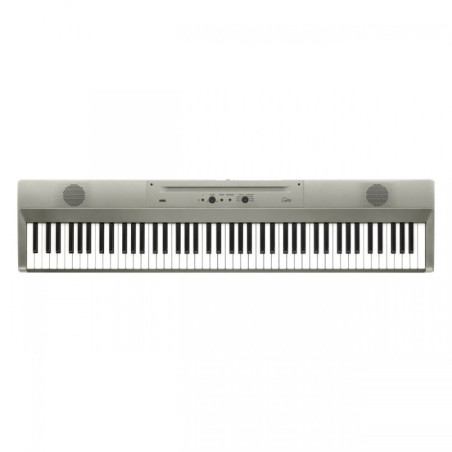 Korg Liano Metallic Silver