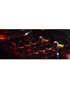 Area DJ | Manhattan - Pro Audio